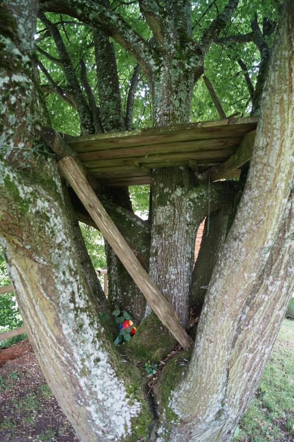 Gite De 15 Places En Chambre De 2, 4, 5 Personnes Saint-Exupéry-les-Roches Exterior foto